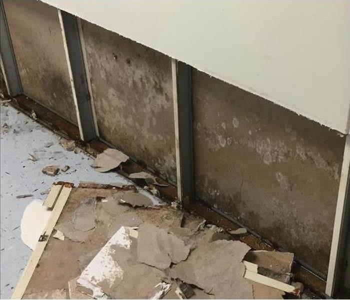 A wall is shown where drywall was removed because of mold
